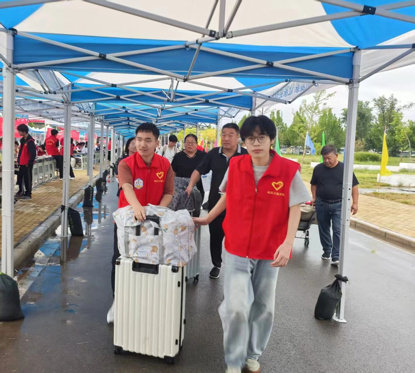 球王会体育平台网页